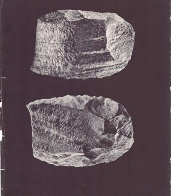 Image 10000000000002370000028C62197CD36D003BAF.jpg