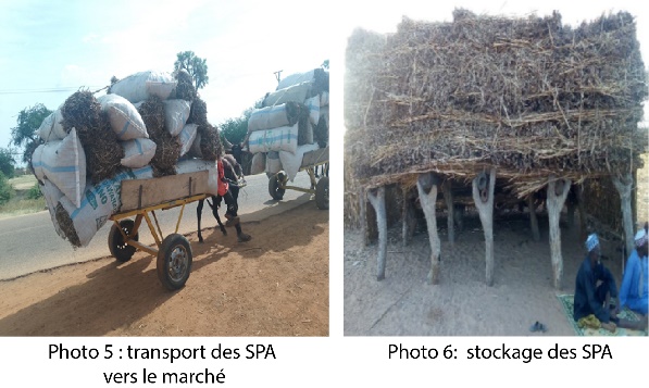 Image 100000000000025500000165E6794E716CCD8F1B.jpg