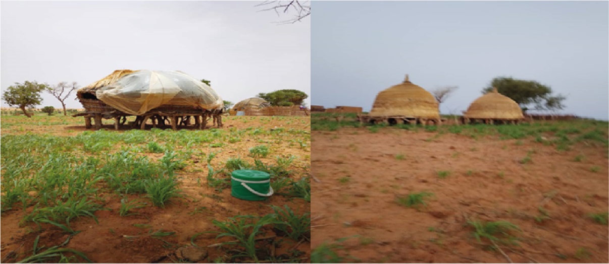 Image 10000000000004B60000020C8B786F116E1DD391.jpg