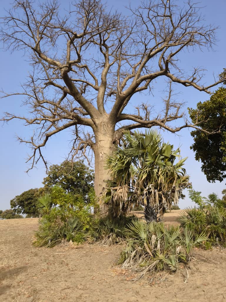 Image 100000000000030000000400048AC3F2B7871F3A.jpg